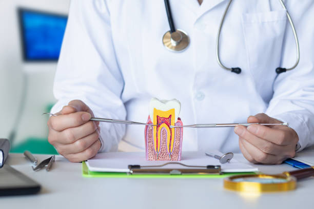 Best Pediatric Emergency Dentist in Centerville, TN